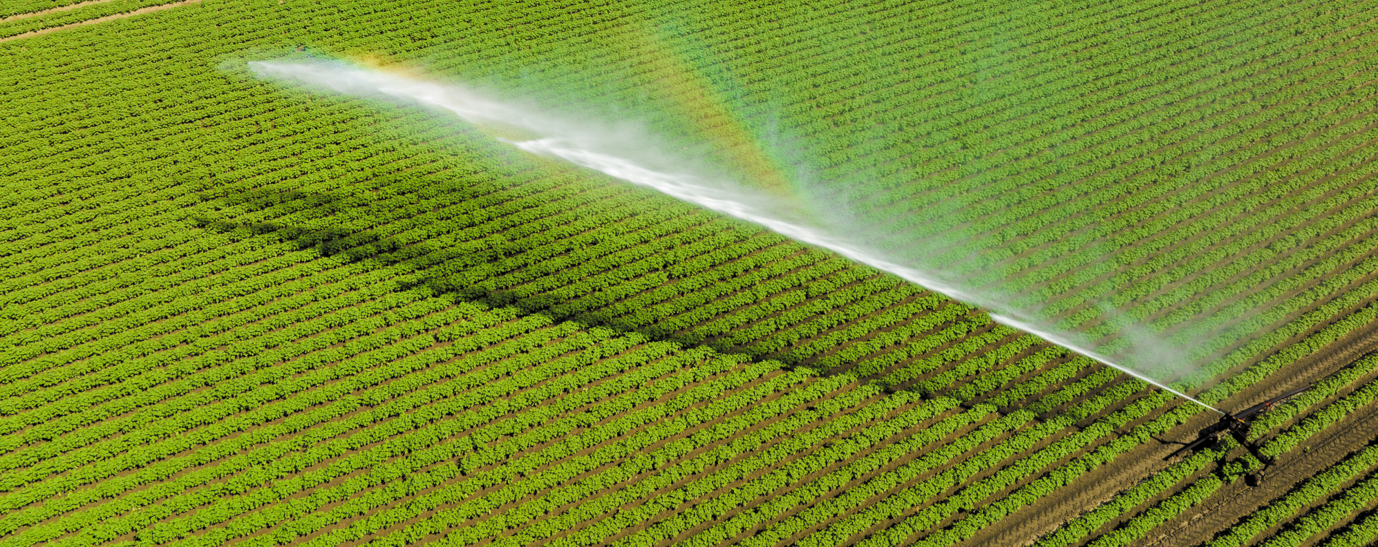 On les croit tous pareils : une grande muraille qui retient de l’eau. Mais en réalité, les barrages sont bien plus diversifiés qu’on ne l’imagine.  Saviez-vous que certains atteignent plus de 180 mètres de haut ? C’est plus qu’un gratte-ciel de 60 étages !